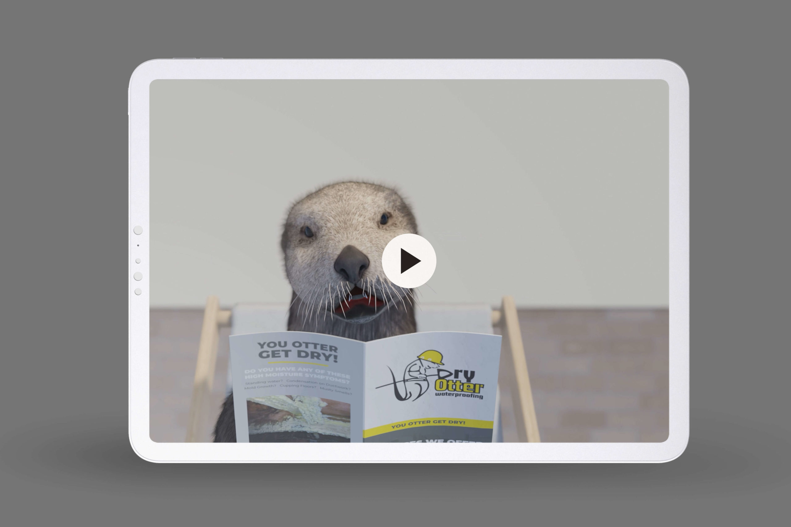 Dry Otter Video Project
